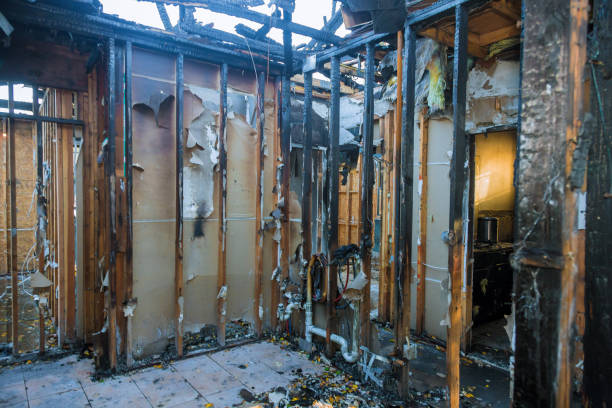 Professional Soot Cleanup technician working in Savannah, MO